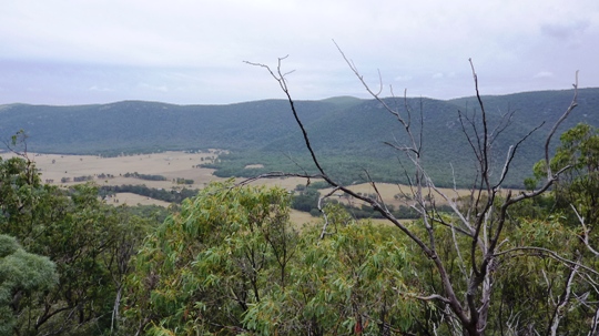 Upper Moore Creek valley